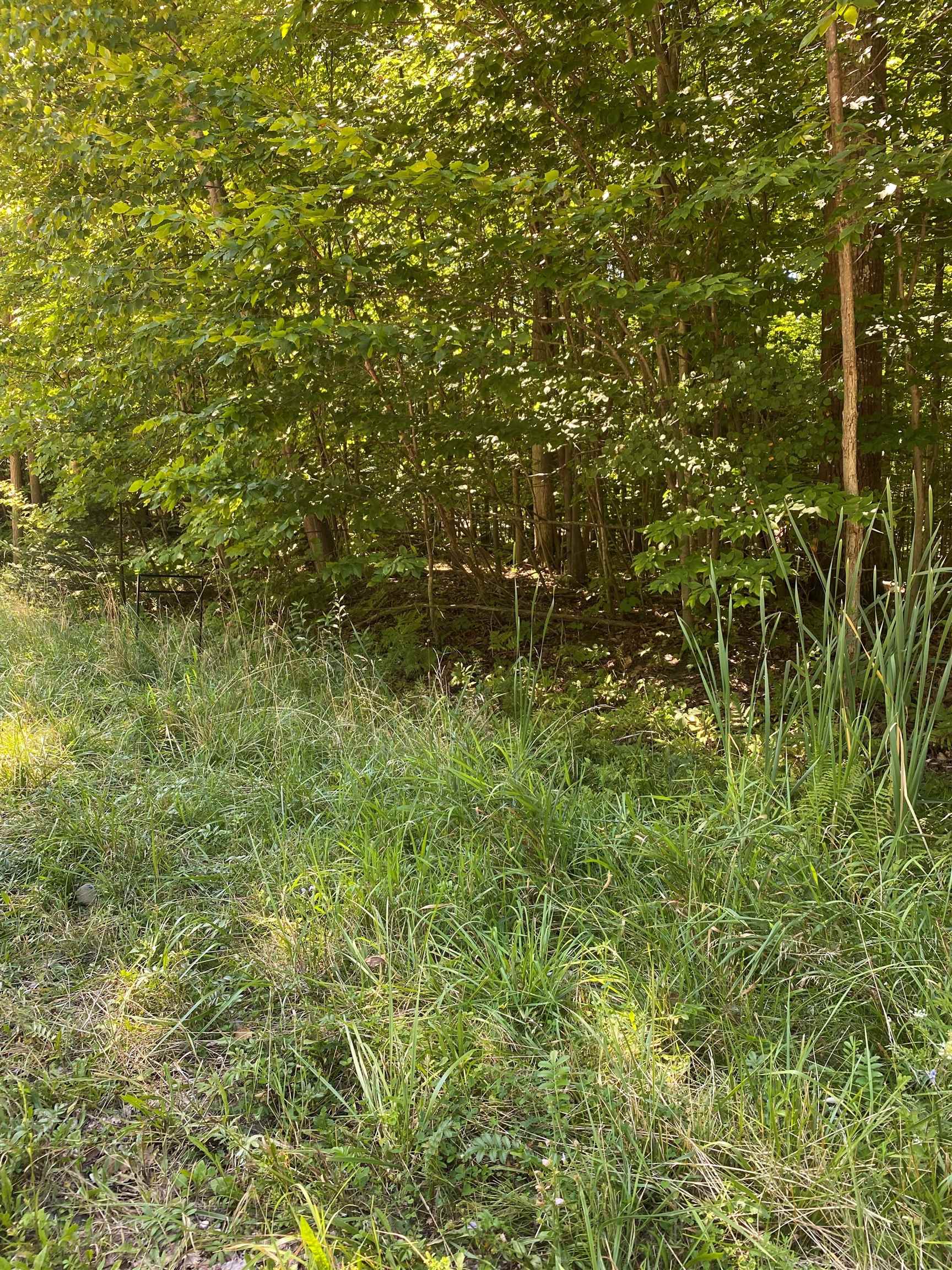 0 Hjelte Road Kewadin, MI 49648 - Photo 2 of 6