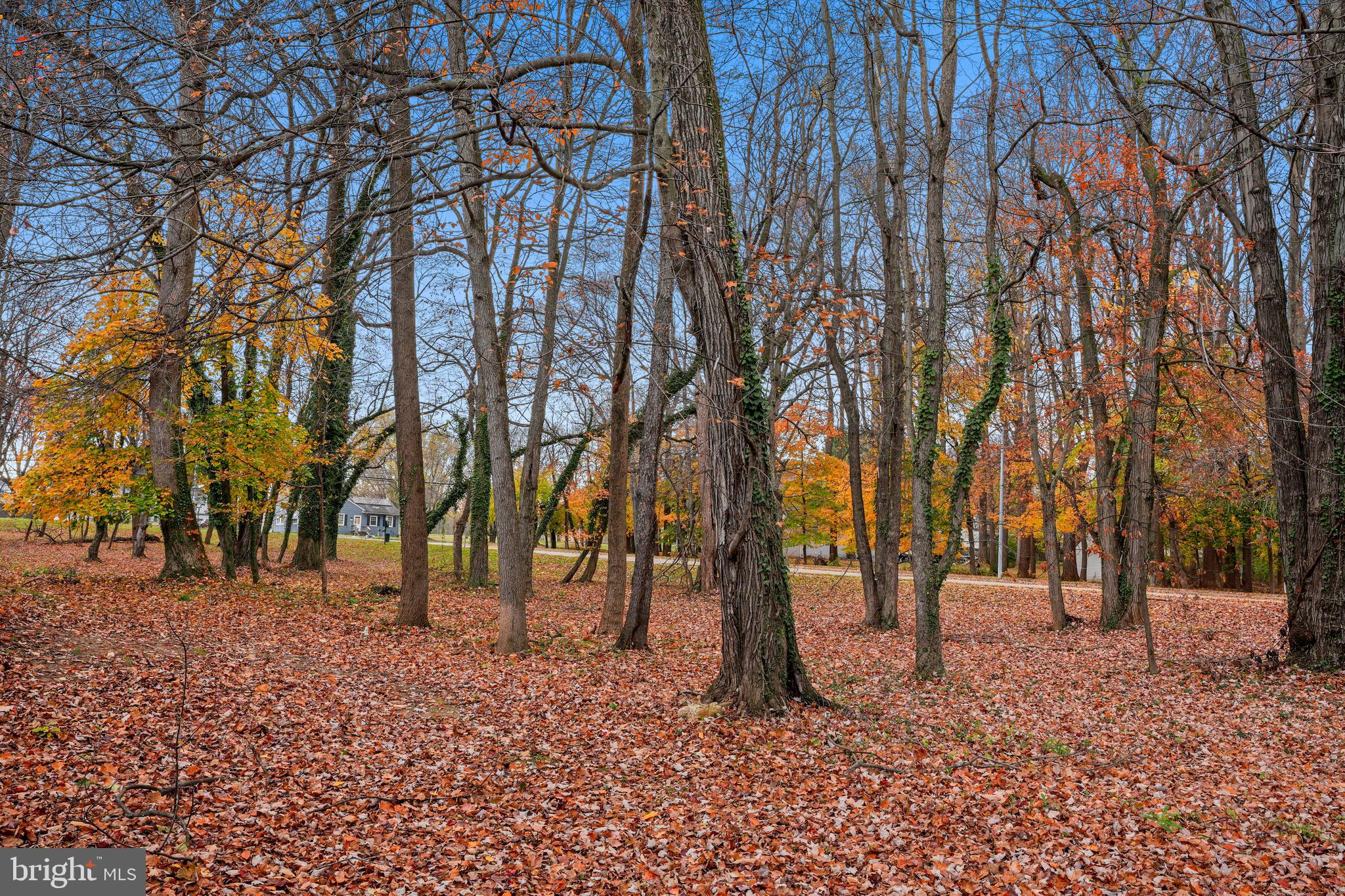 9998 Tuscarora Road Randallstown, MD 21133 - Photo 21 of 21 a backyard of a house with lots of green space