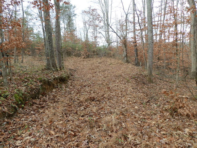 1607 Clifty Crk Road Jamestown, KY 42629 - Photo 10 of 18 PC042180