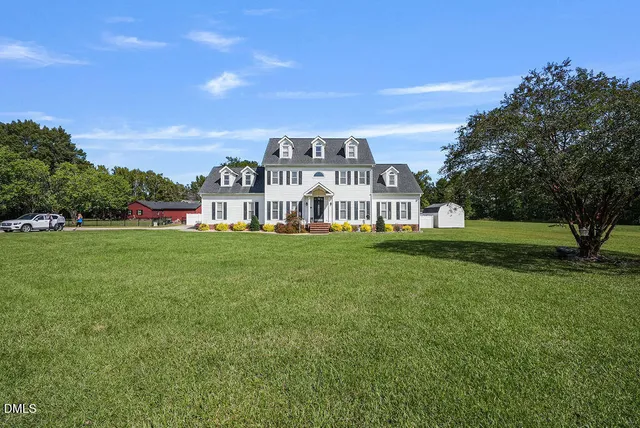 a view of a tree in a yard
