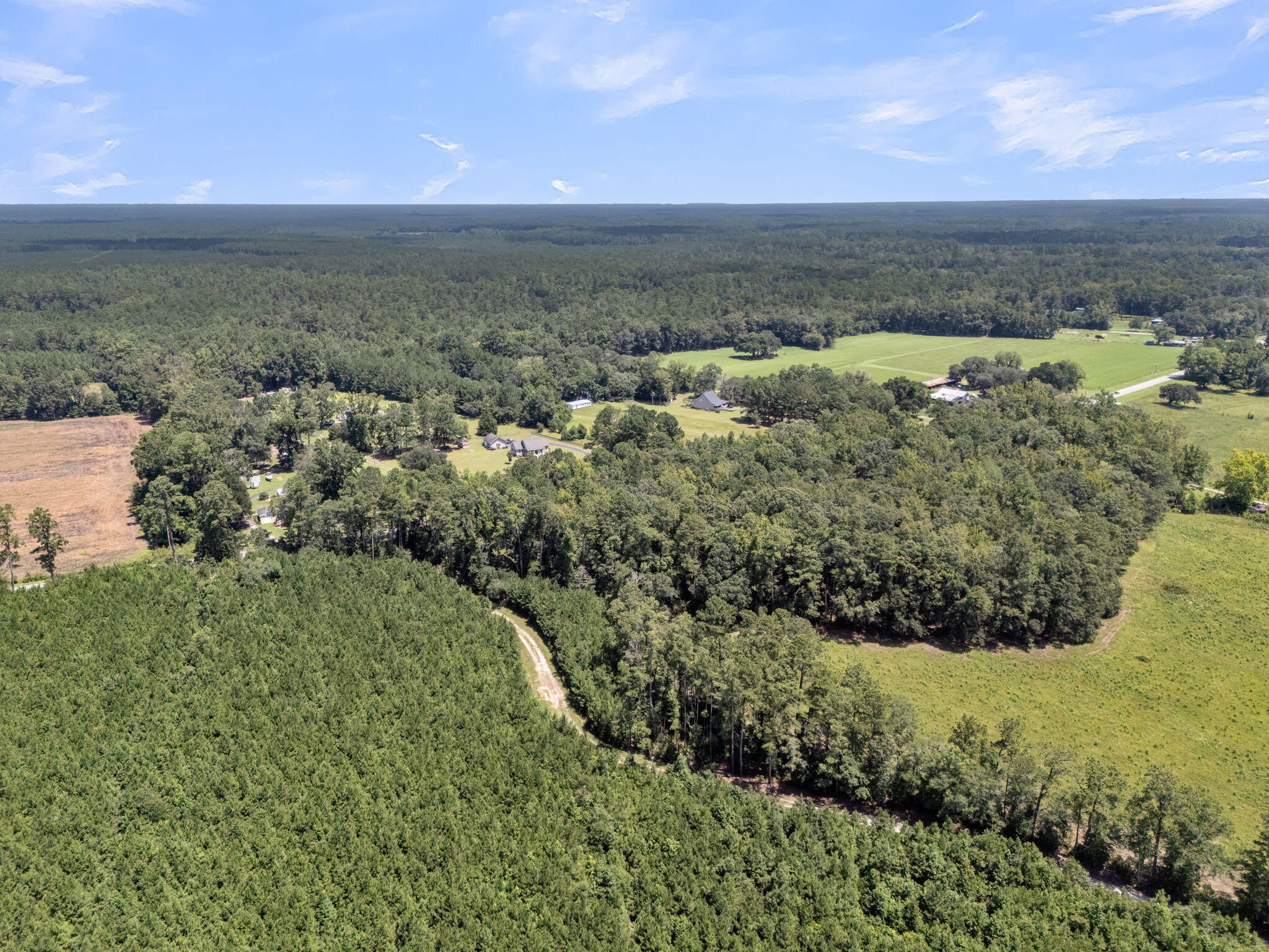 0 Cypress Campground Road Ridgeville, SC 29472 - Photo 15 of 16