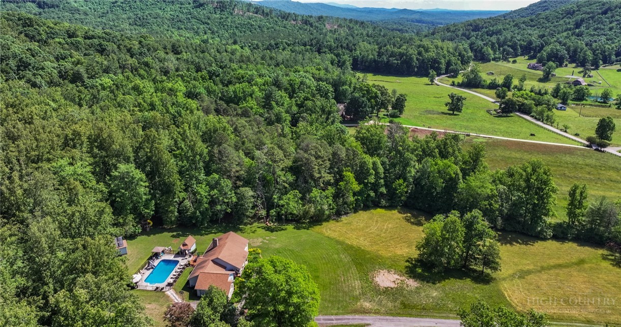 1335 Shingle Gap Road Purlear, NC 28665 - Photo 48 of 49 an aerial view of a house with a yard and outdoor seating