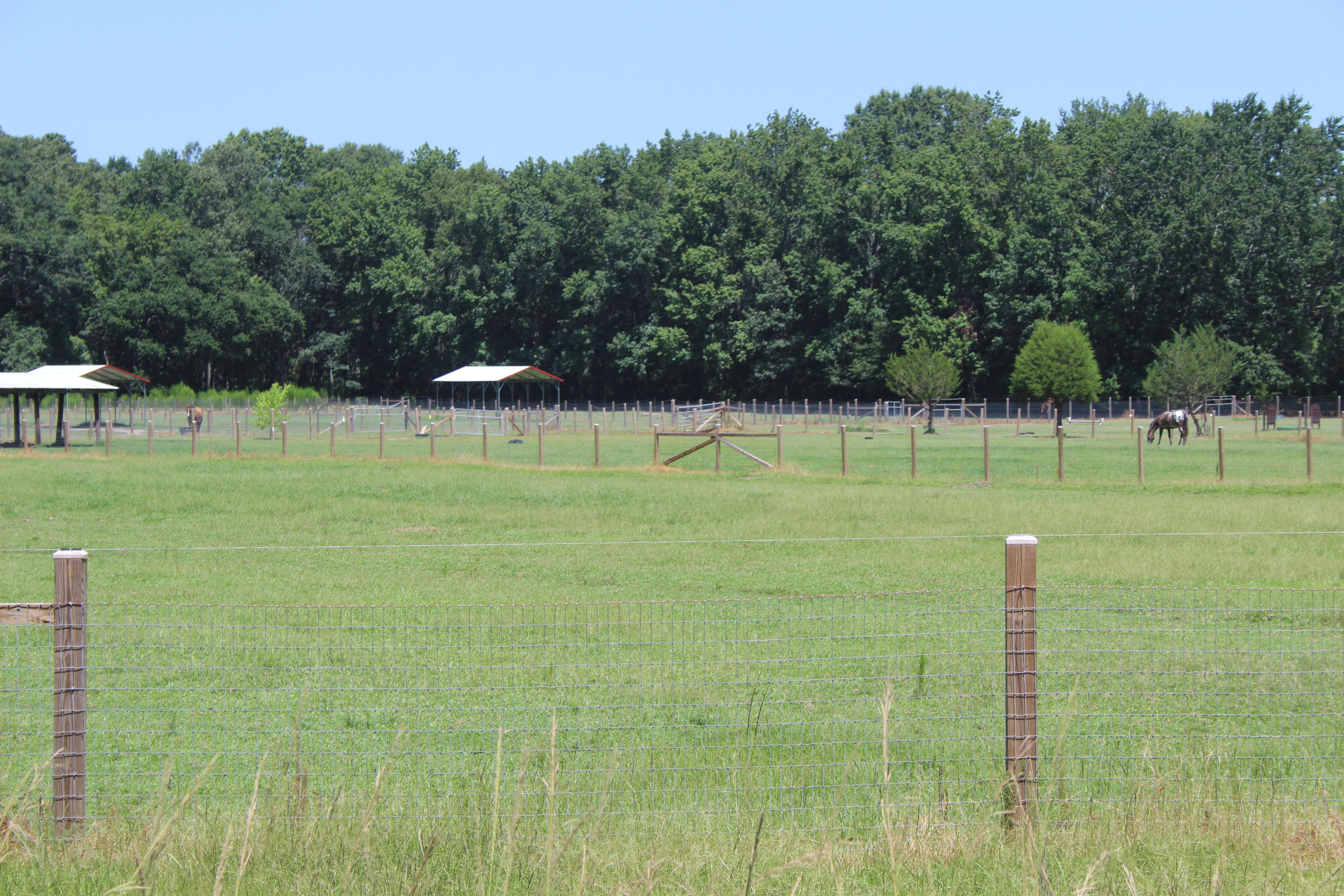 4771 Lab Run Road Hollywood, SC 29449 - Photo 22 of 31 IMG_5390