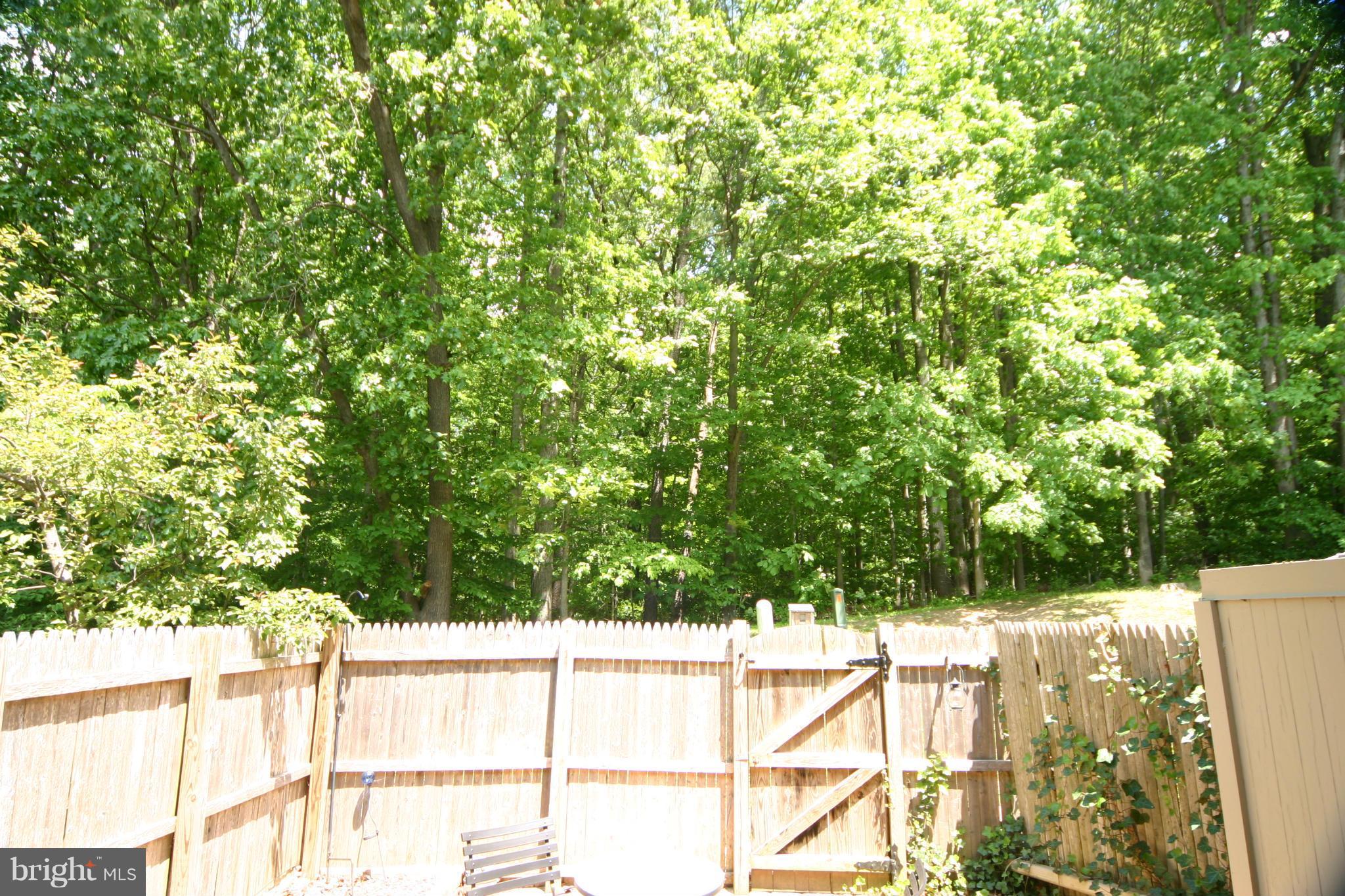 5935 Minutemen Road, Unit 253 Springfield, VA 22152 - Photo 22 of 24 Exterior (Rear)