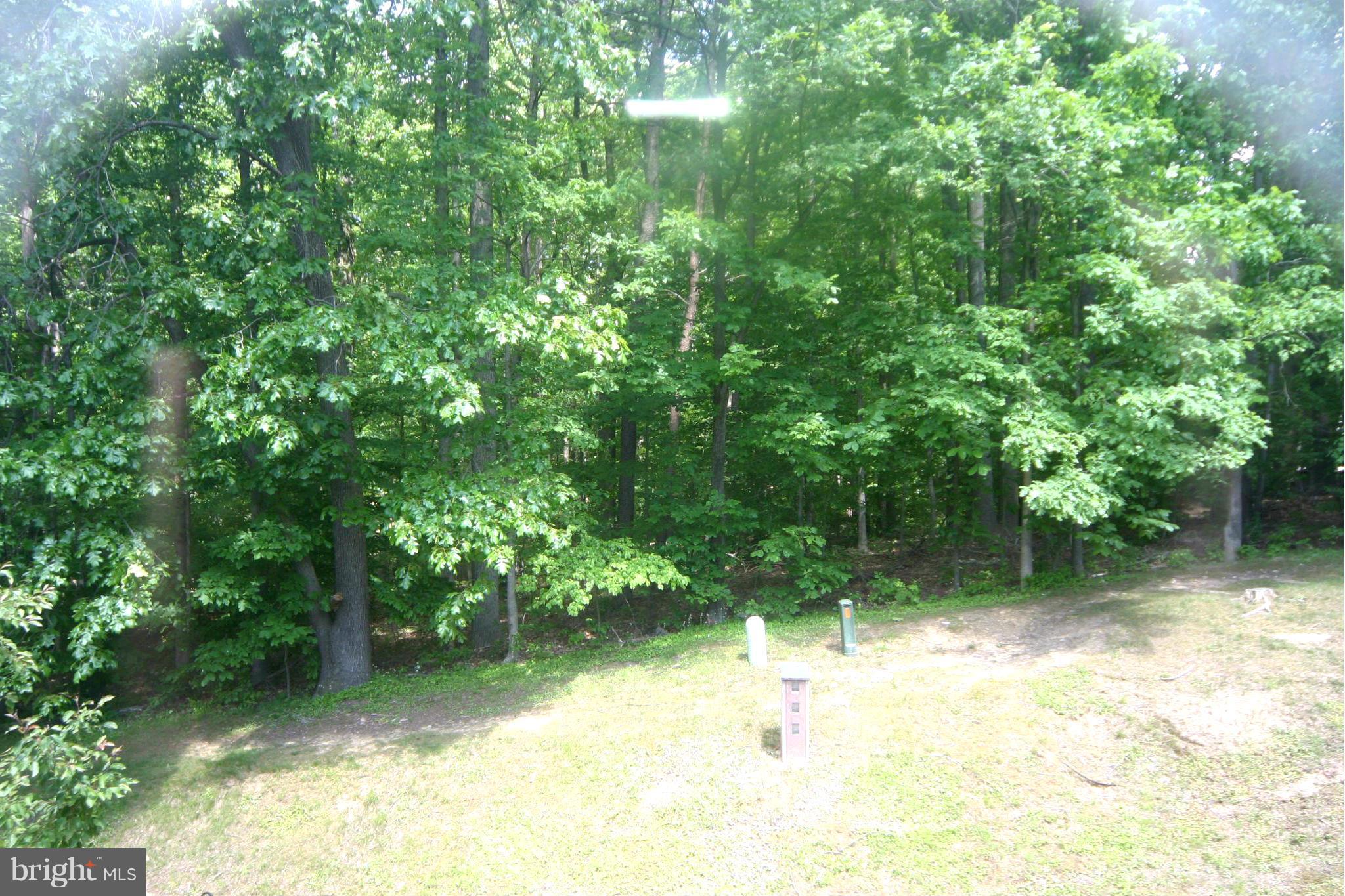5935 Minutemen Road, Unit 253 Springfield, VA 22152 - Photo 24 of 24 Exterior (Rear)