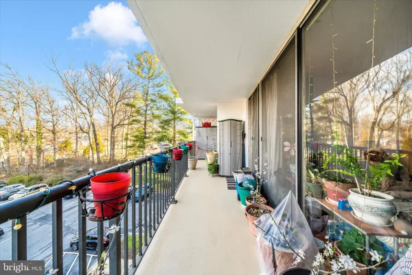 a view of a potted plants on a balcony