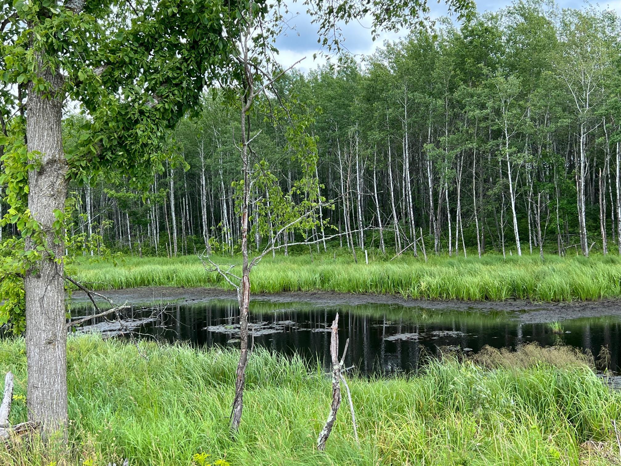 W37-xx Frog Creek Road Minong, WI 54859 - Photo 17 of 46