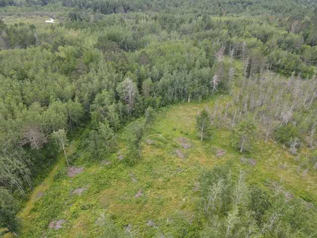 $474,900 | W37-xx Frog Creek Road, Minong, WI 54859