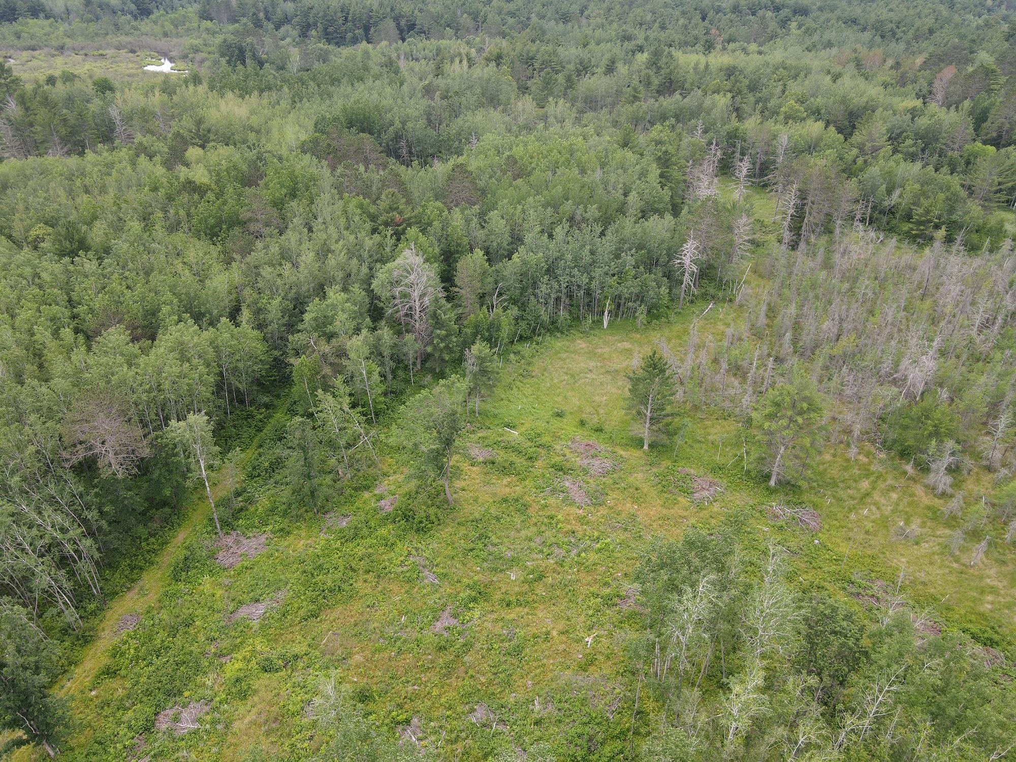 W37-xx Frog Creek Road Minong, WI 54859 - Photo 24 of 46