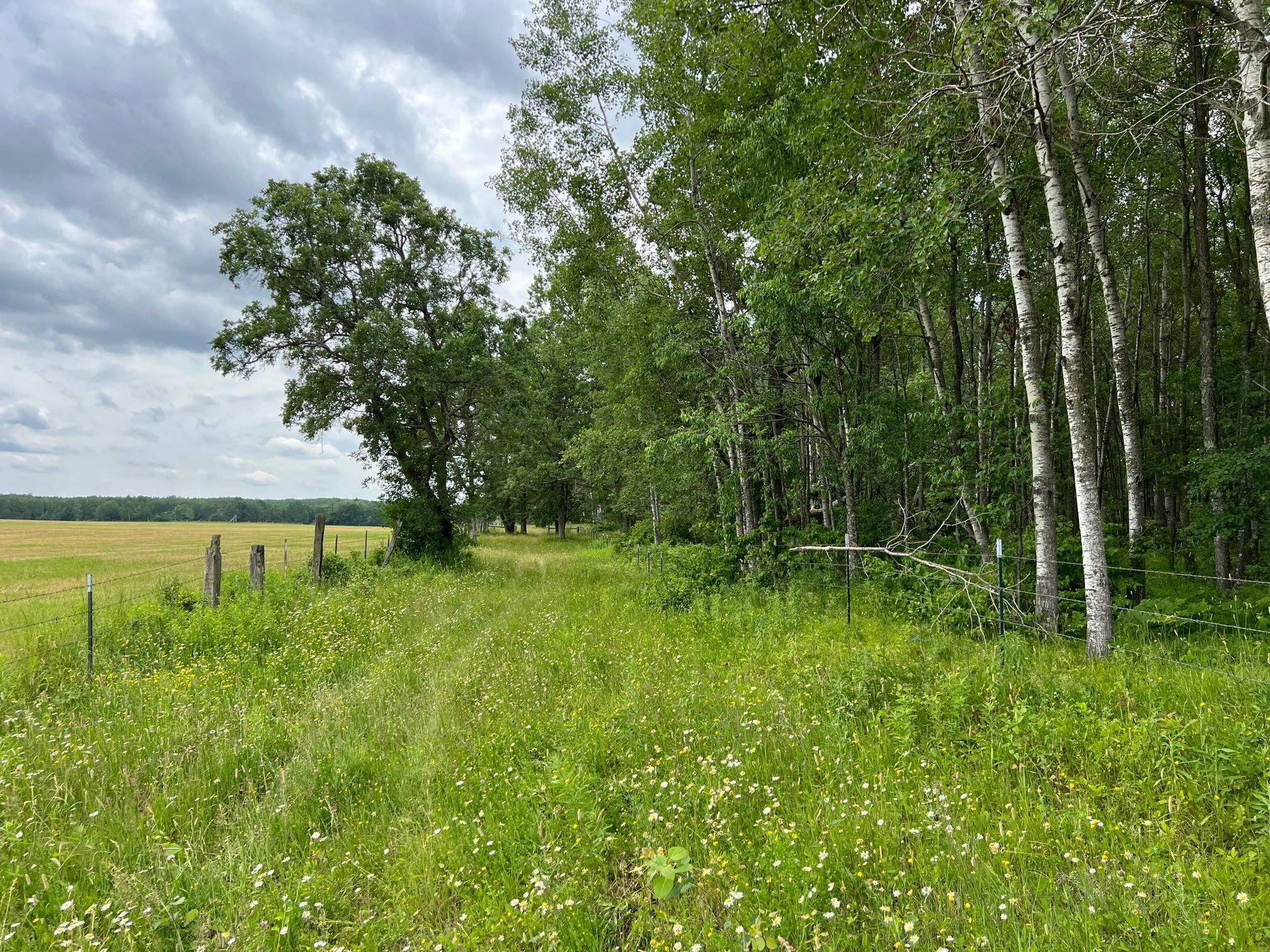 W37-xx Frog Creek Road Minong, WI 54859 - Photo 30 of 46