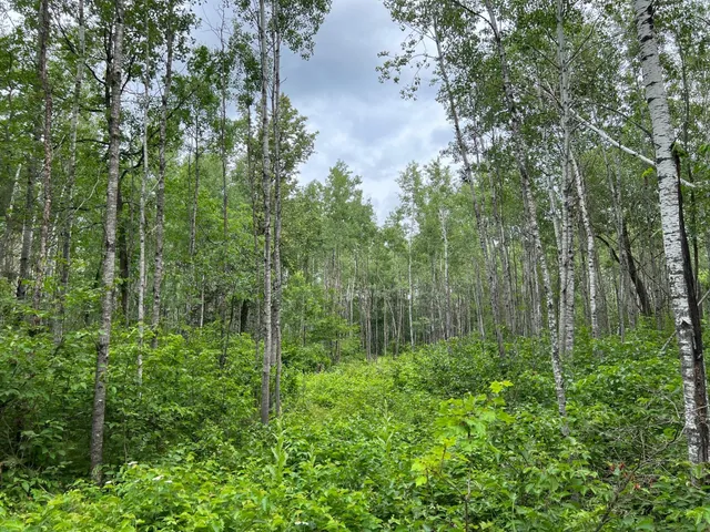 $474,900 | W37-xx Frog Creek Road, Minong, WI 54859