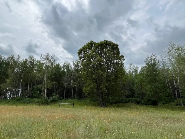 $474,900 | W37-xx Frog Creek Road, Minong, WI 54859