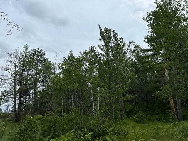 $474,900 | W37-xx Frog Creek Road, Minong, WI 54859