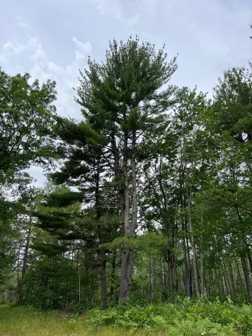 $474,900 | W37-xx Frog Creek Road, Minong, WI 54859