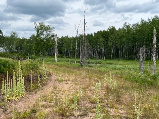 $474,900 | W37-xx Frog Creek Road, Minong, WI 54859