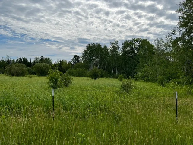 $474,900 | W37-xx Frog Creek Road, Minong, WI 54859