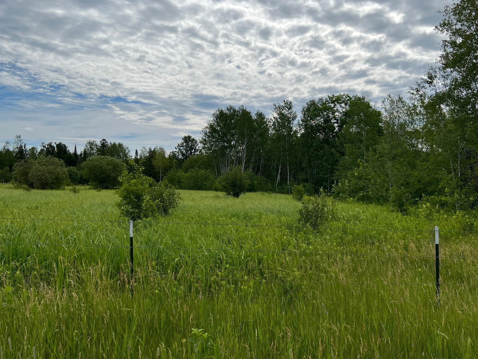 W37-xx Frog Creek Road Minong, WI 54859 - Photo 45 of 46