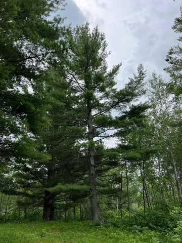 $474,900 | W37-xx Frog Creek Road, Minong, WI 54859