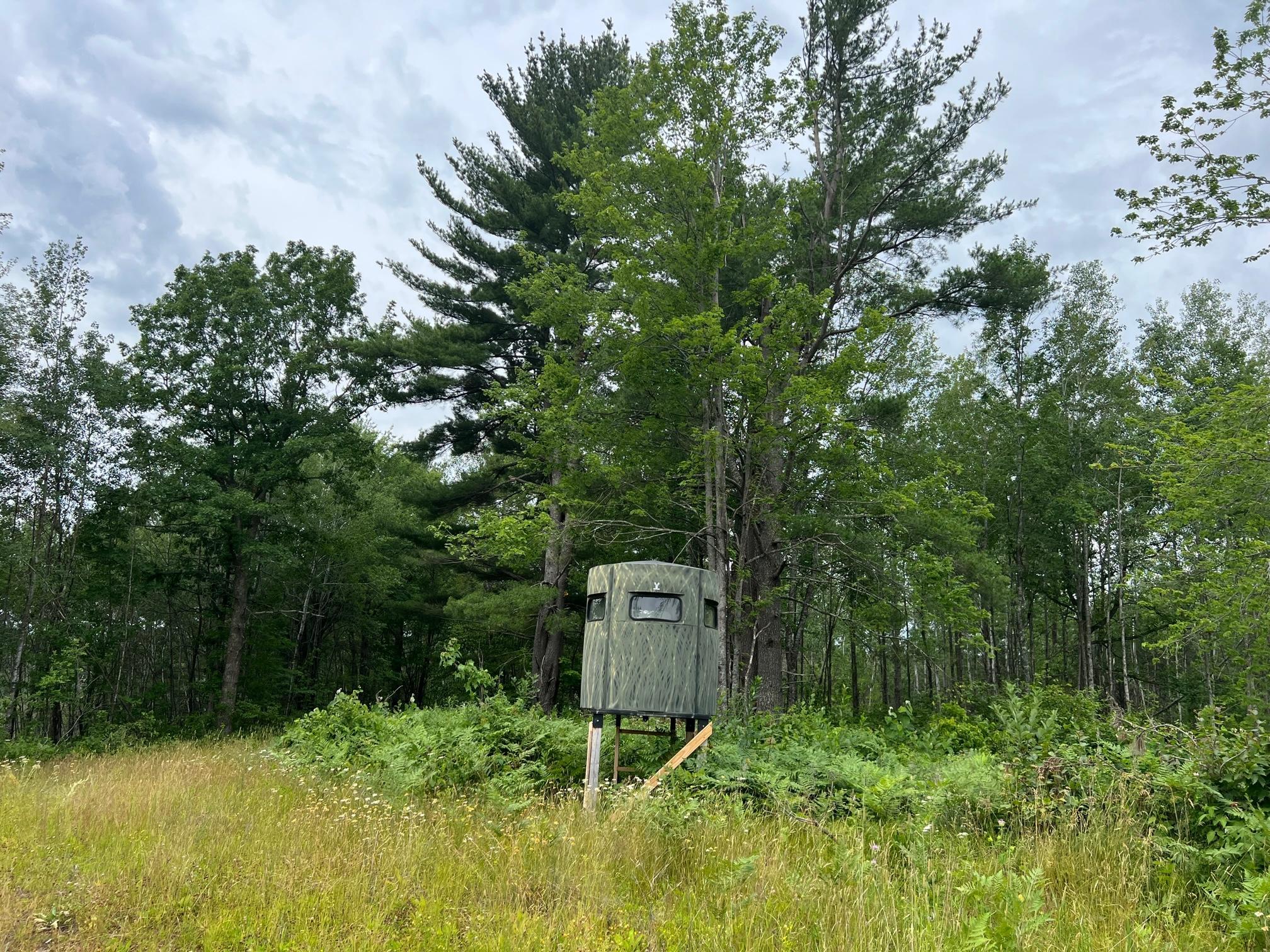 W37-xx Frog Creek Road Minong, WI 54859 - Photo 9 of 46