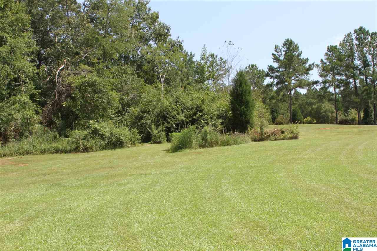490 Lay Lake Lane Sylacauga, AL 35151 - Photo 2 of 45