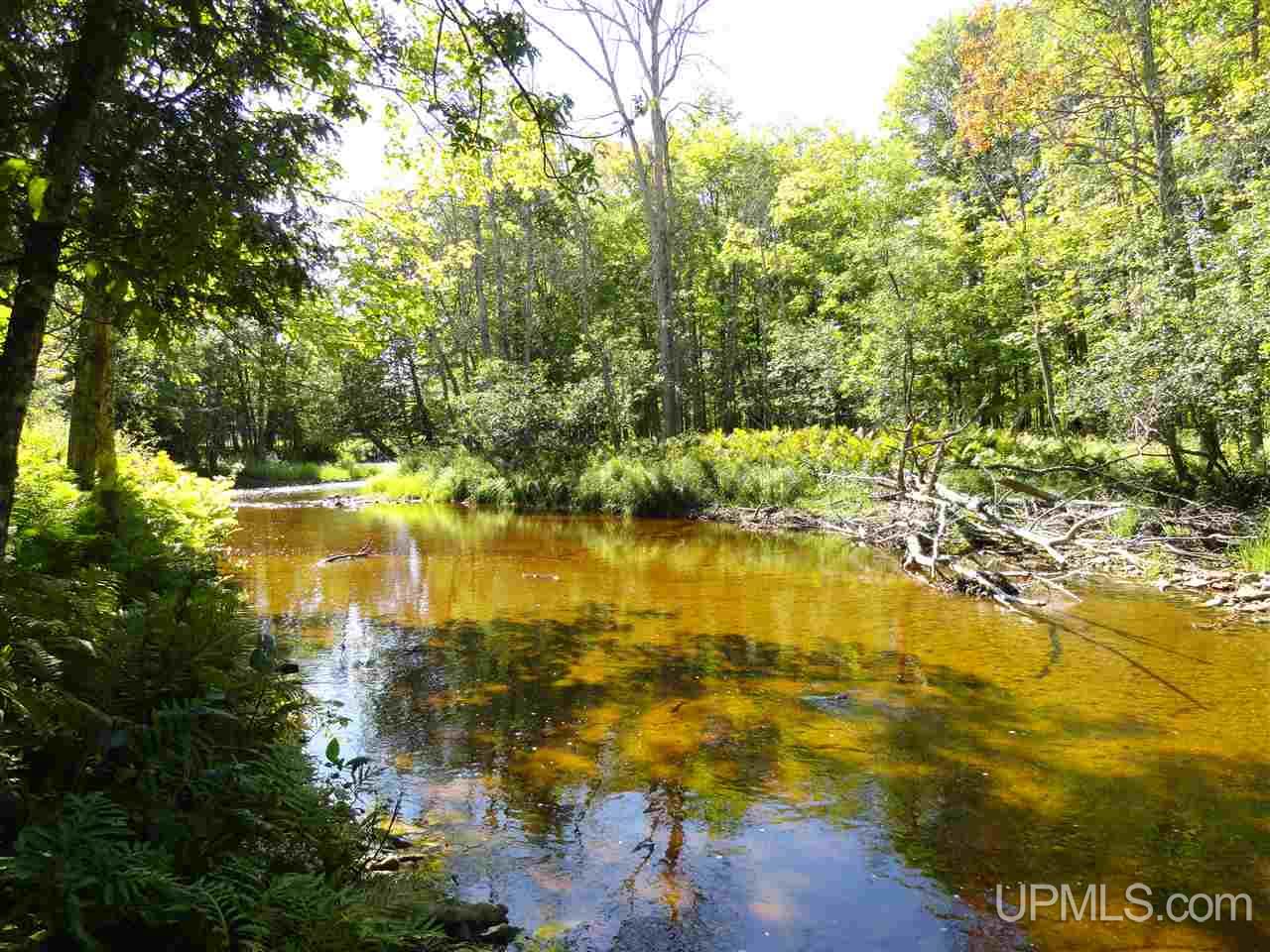 6386 Co Rd 432 Rock, MI 49880 - Photo 1 of 39
