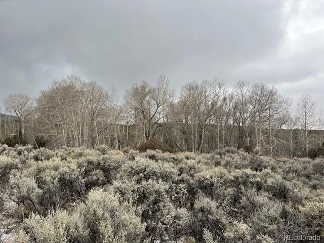 a view of a covered with trees