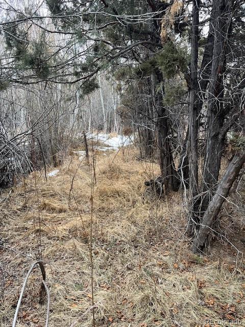 Lot 2242 Slegers Road Fort Garland, CO 81133 - Photo 12 of 35 a view of yard