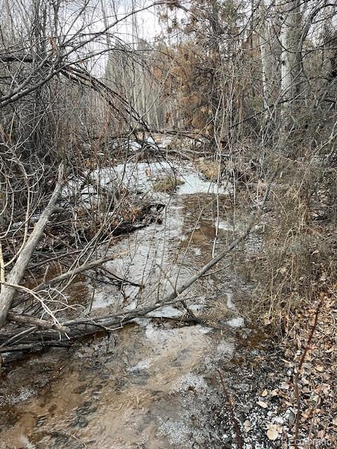 Lot 2242 Slegers Road Fort Garland, CO 81133 - Photo 15 of 35 a view of mountain covered with snow