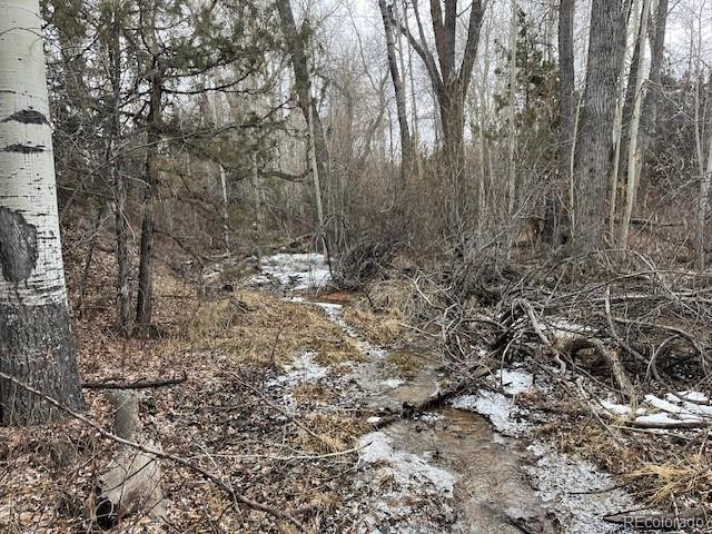Lot 2242 Slegers Road Fort Garland, CO 81133 - Photo 16 of 35 a view of a forest with trees
