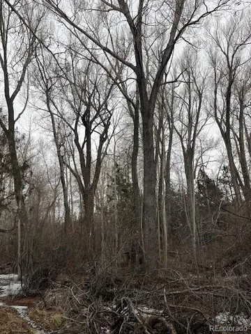 a view of backyard with green space