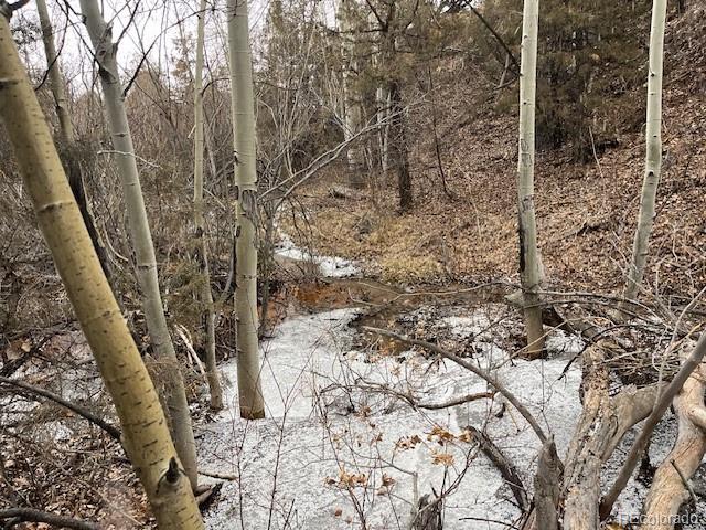 Lot 2242 Slegers Road Fort Garland, CO 81133 - Photo 19 of 35 a view of a forest