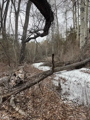 a view of a yard covered with snow
