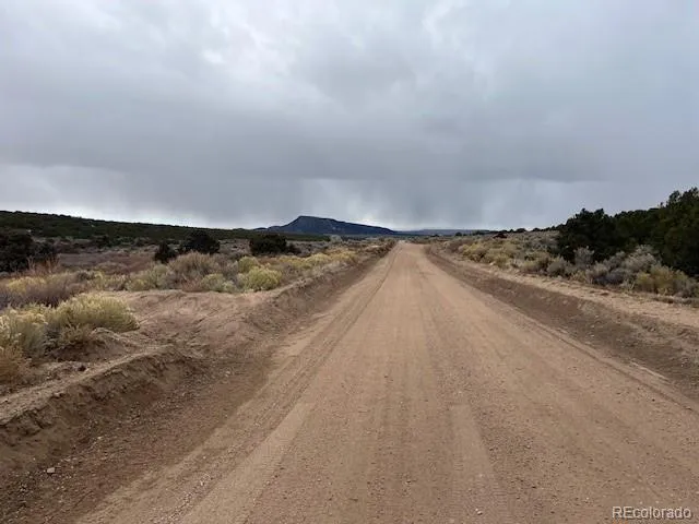 a view of a dry yard with wooden floor