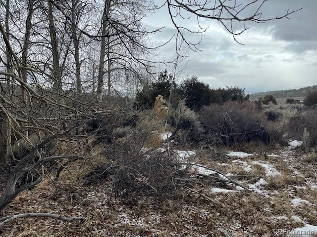 Lot 2242 Slegers Road Fort Garland, CO 81133 - Photo 22 of 35 a view of a yard
