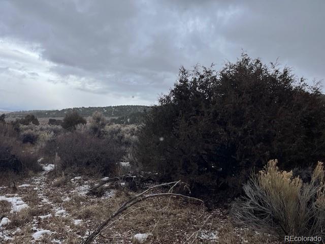 Lot 2242 Slegers Road Fort Garland, CO 81133 - Photo 25 of 35 a view of a yard