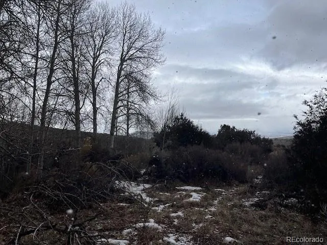 a view of outdoor space and yard