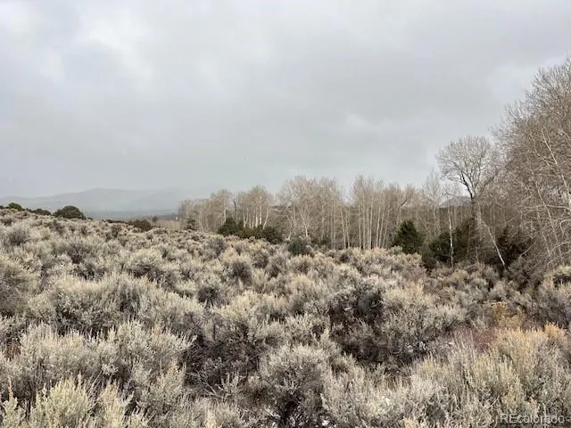a view of a covered with snow in the background