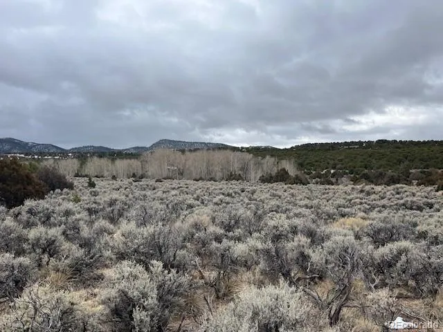 a view of a dry yard covered with fog