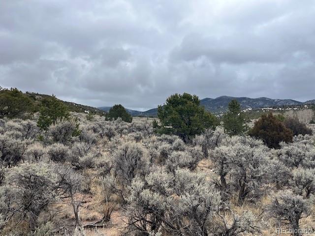 Lot 2242 Slegers Road Fort Garland, CO 81133 - Photo 8 of 35 a view of a bunch of trees in a field