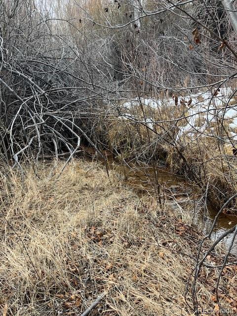 Lot 2242 Slegers Road Fort Garland, CO 81133 - Photo 10 of 35 a view of a backyard of the house