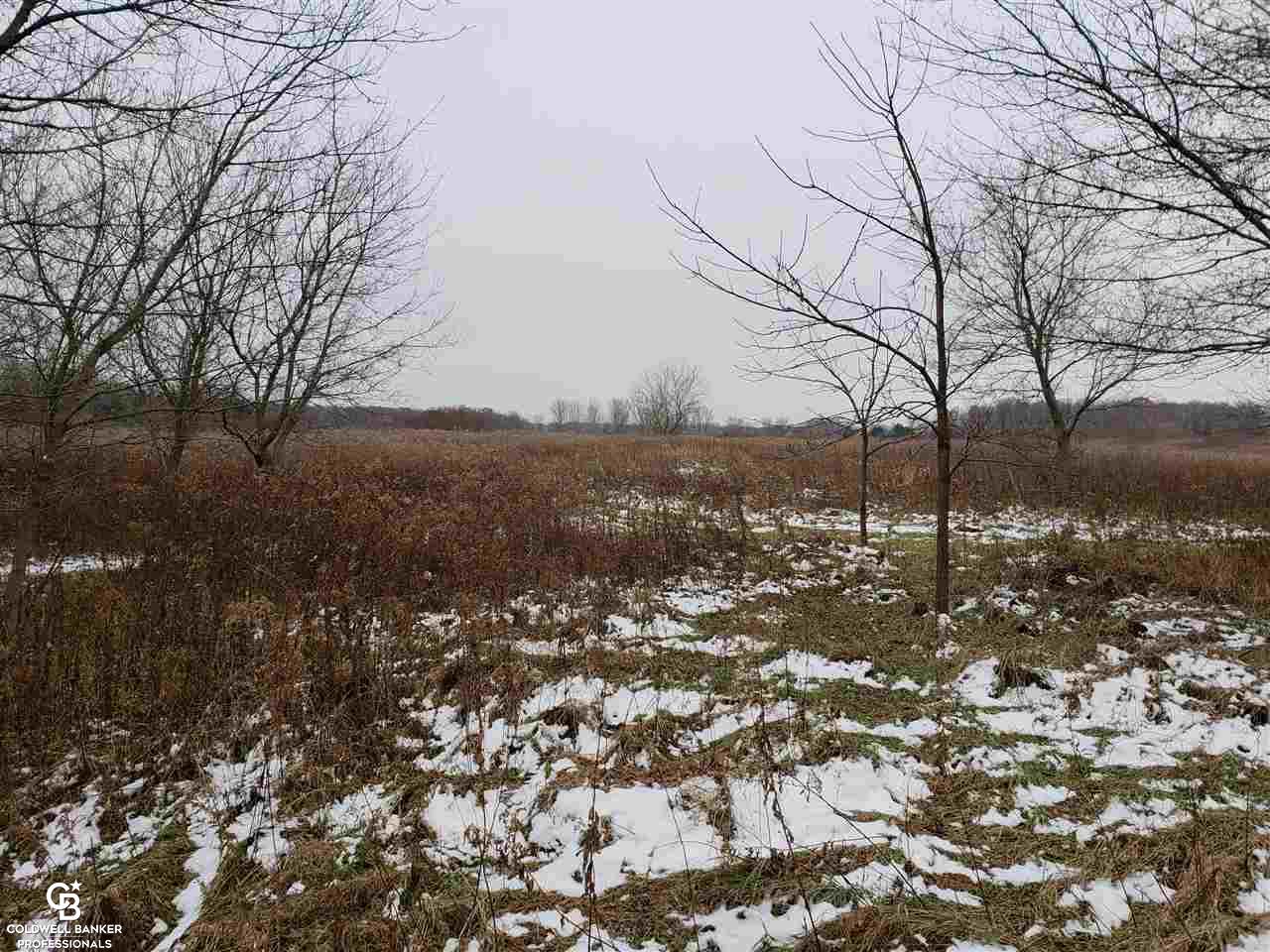 12201 Speaker Road Yale, MI 48097 - Photo 4 of 14 Gallery Image 4