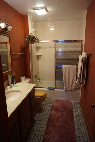 653 Dana Court, Unit D Naperville, IL 60563 - Photo 13 of 16