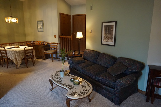 653 Dana Court, Unit D Naperville, IL 60563 - Photo 4 of 16