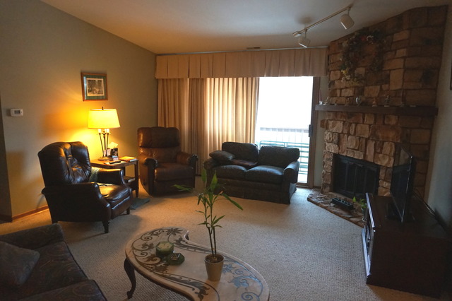 653 Dana Court, Unit D Naperville, IL 60563 - Photo 5 of 16