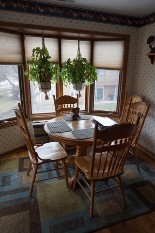 653 Dana Court, Unit D Naperville, IL 60563 - Photo 10 of 16