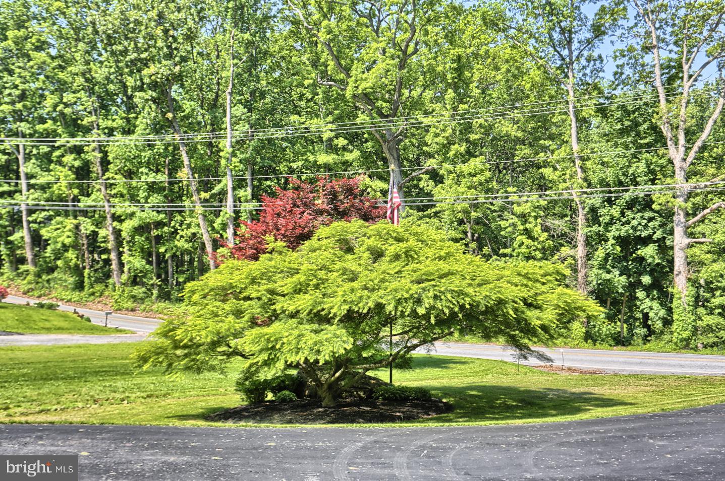 1590 Erney Road Dover, PA 17315 - Photo 3 of 23 Gallery Image 3