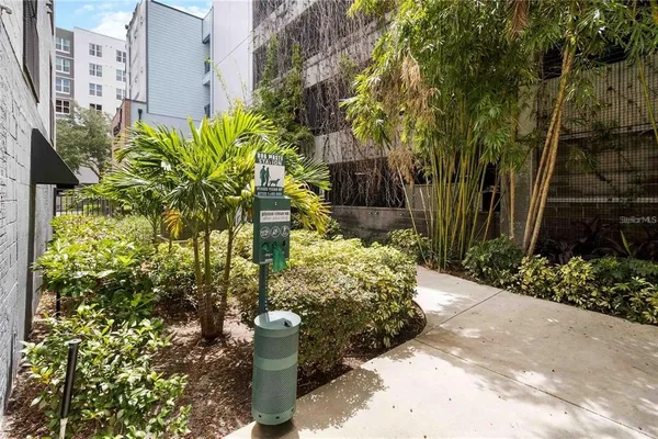 a view of a pathway both side of house