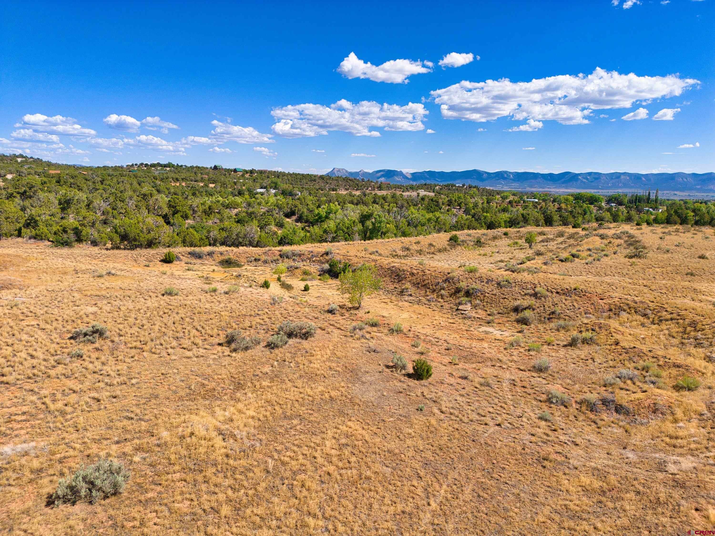 27980 Rd T Dolores, CO 81323 - Photo 12 of 16