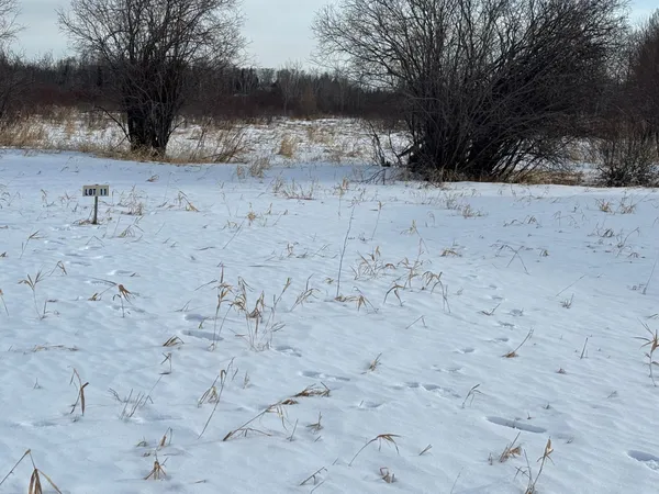 $17,500 | Lot 11 Irvine Avenue Northwest, Bemidji, MN 56601