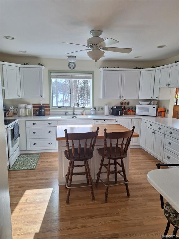 3788 South Murray Road Mayville, MI 48744 - Photo 6 of 38